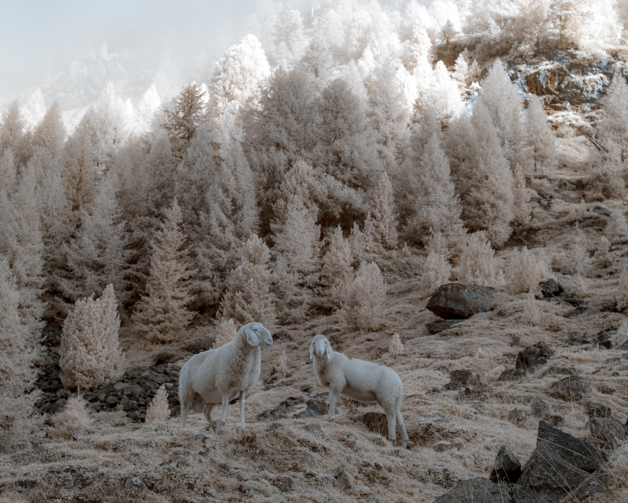 Zauberhaftes Windachtal - Blid klicken zum vergrößern.